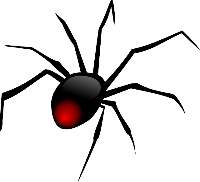  alanya Alanya Örümcek İlaçlama